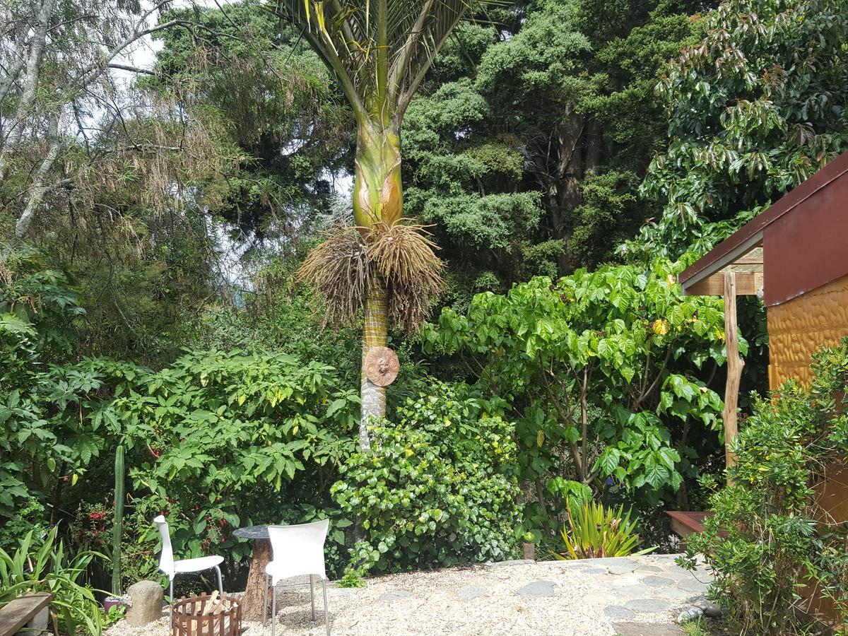Chalet Karaka Takaka Exteriér fotografie